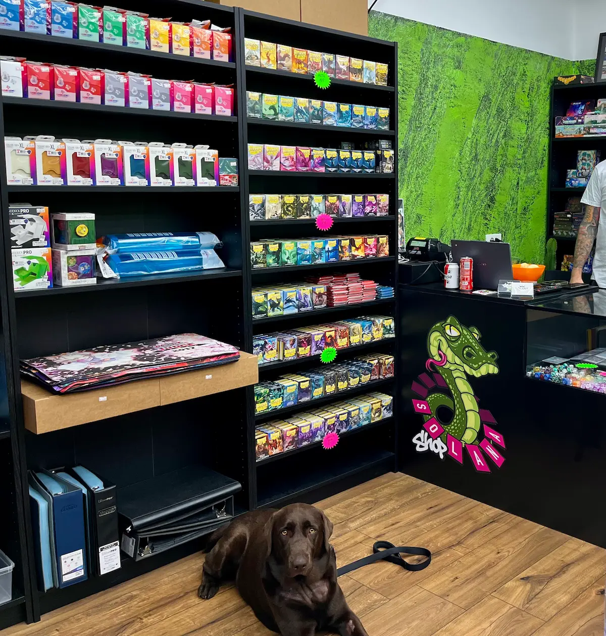 Scaffale del negozio in un ambiente dog friendly